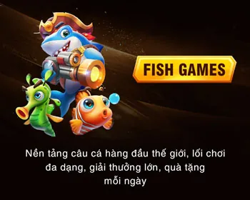 Câu hỏi thường gặp 84vn